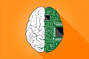 探索足球情报的来源，从传统媒体到数字平台